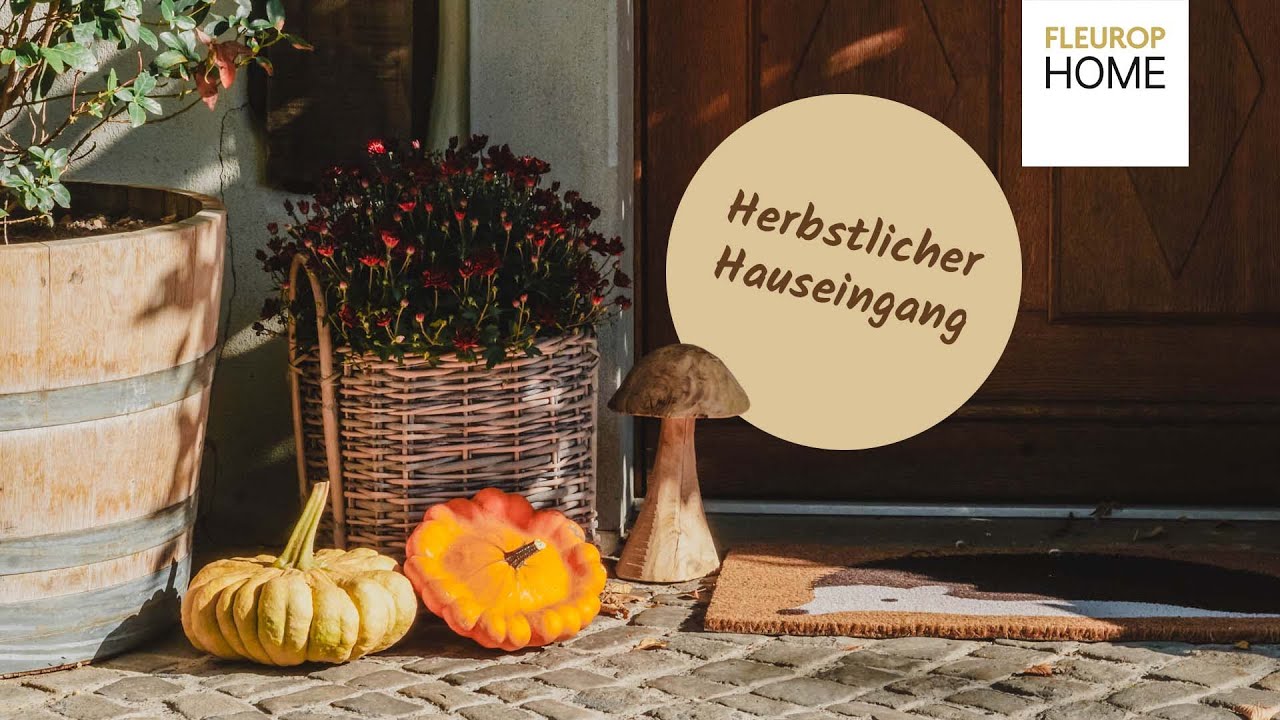 Cozy Welcome im Herbst🍁🍄