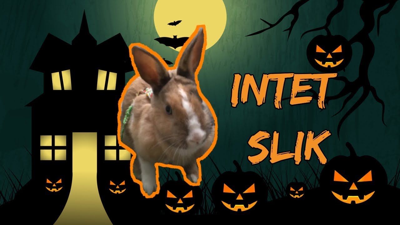 Merles Halloween går lidt galt... l Olivias Verden
