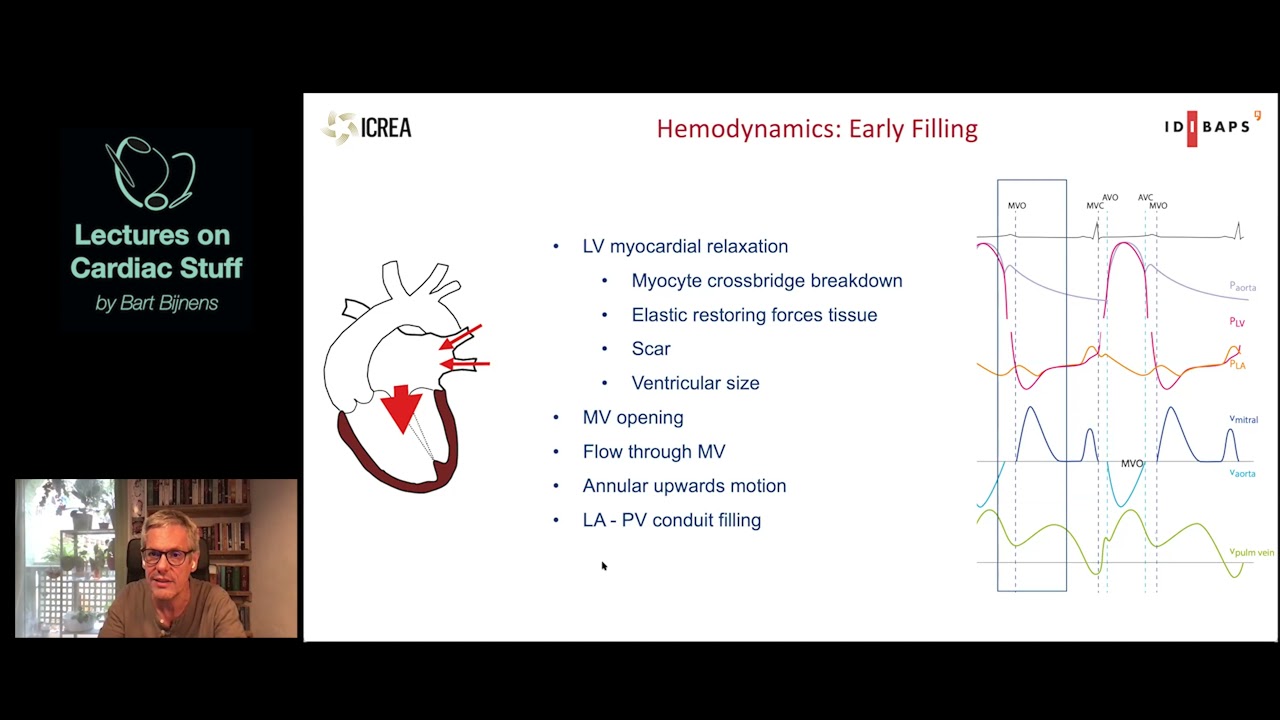 15 - Filling of the ventricle - Diastolic function 2