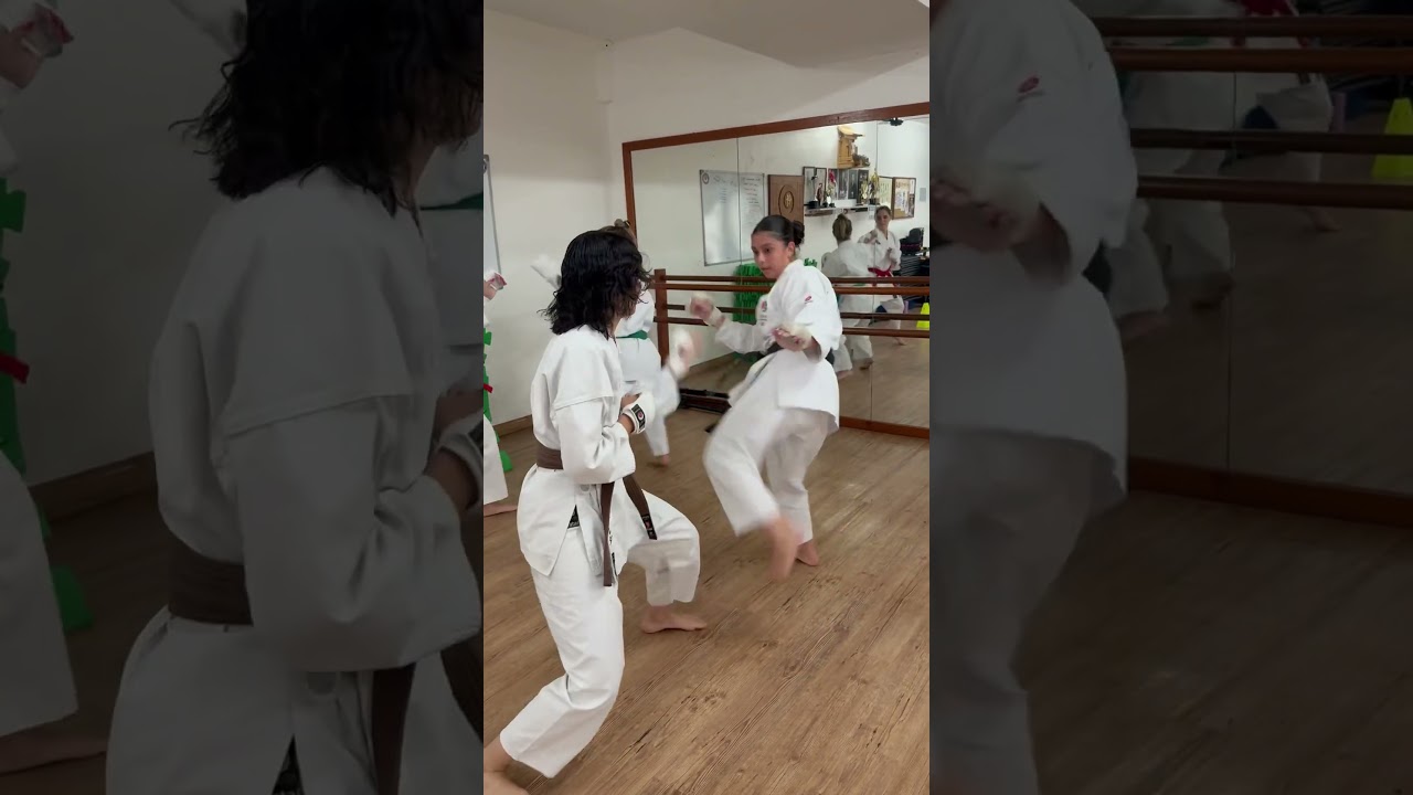 Kumite Short Distance - trocando golpes - Instrutor Paulo Pestana 