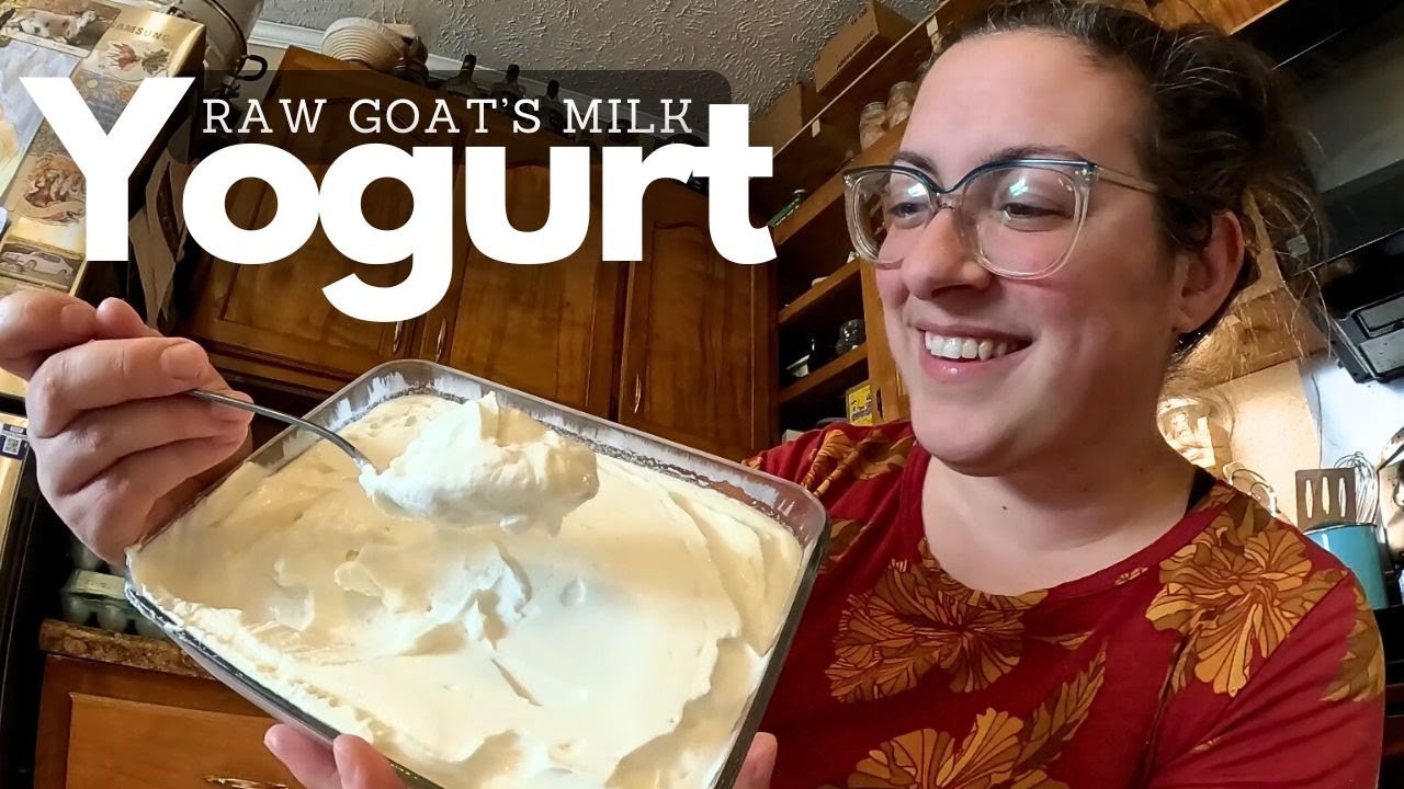 THICK & Creamy Raw Goat's Milk Yogurt With NO HEATING or Incubation