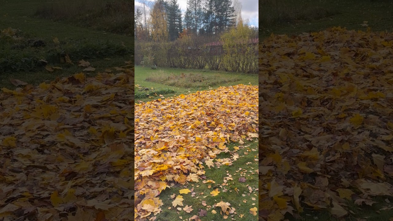 Winter Prep! #homestead #homemaker #finland #winterprep #winter #yard