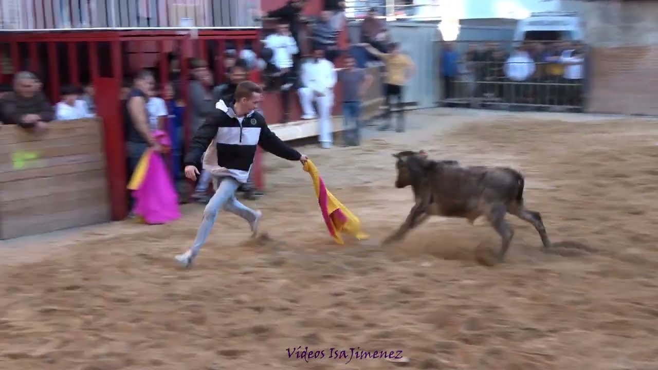 Plasencia de Jalón (Zaragoza) - Suelta de becerras - 02/02/2024 - HD
