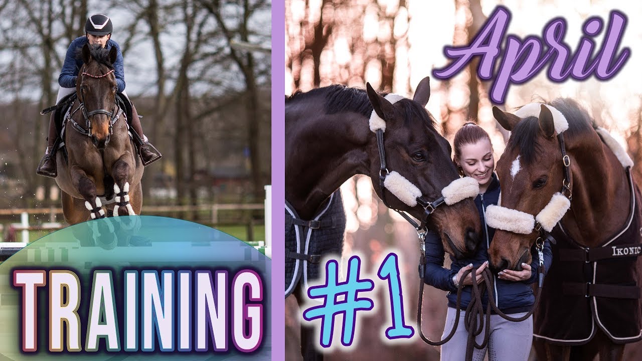 !NEU! TRAINER Karl Brocks | #1 Training mit CARLSSON & PALU | BinieBo