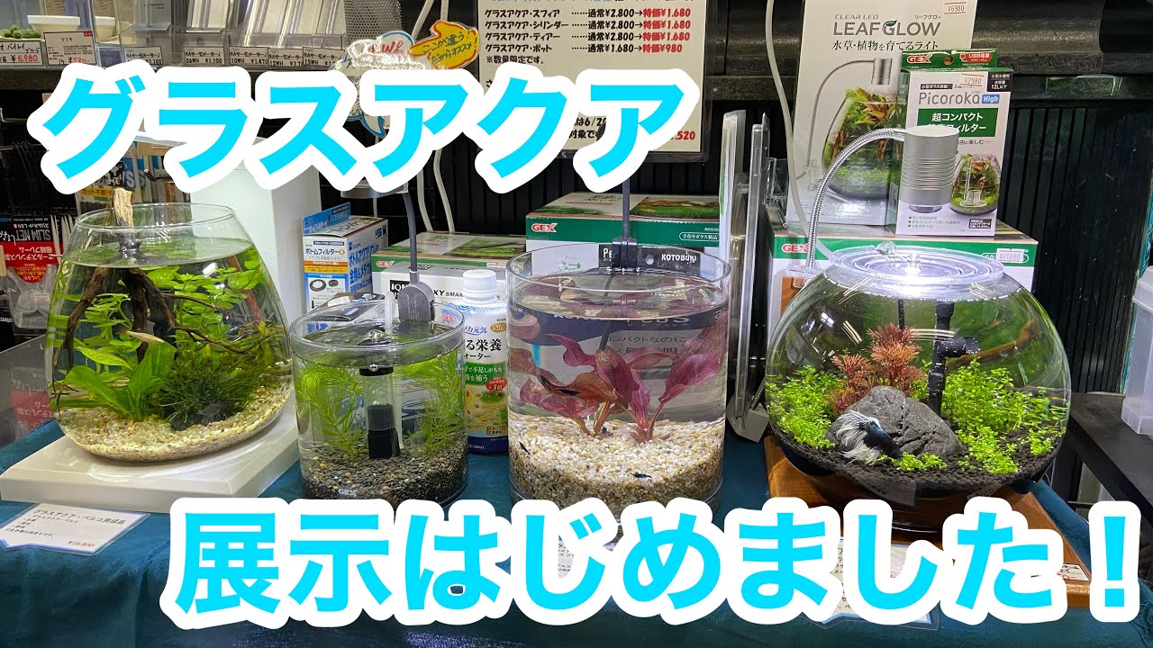 グラスアクア展示はじめました！