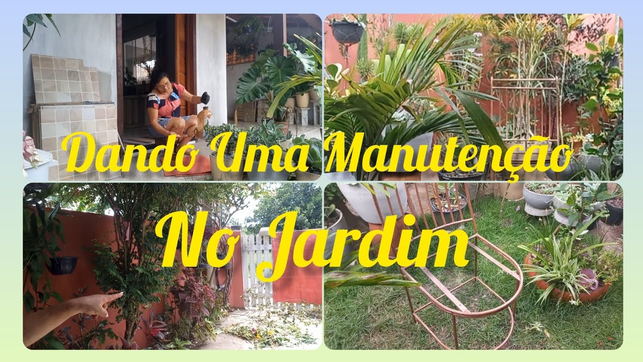 AGORA DESSA VEZ VAI!!#RECICLAGEM#plantajardim#