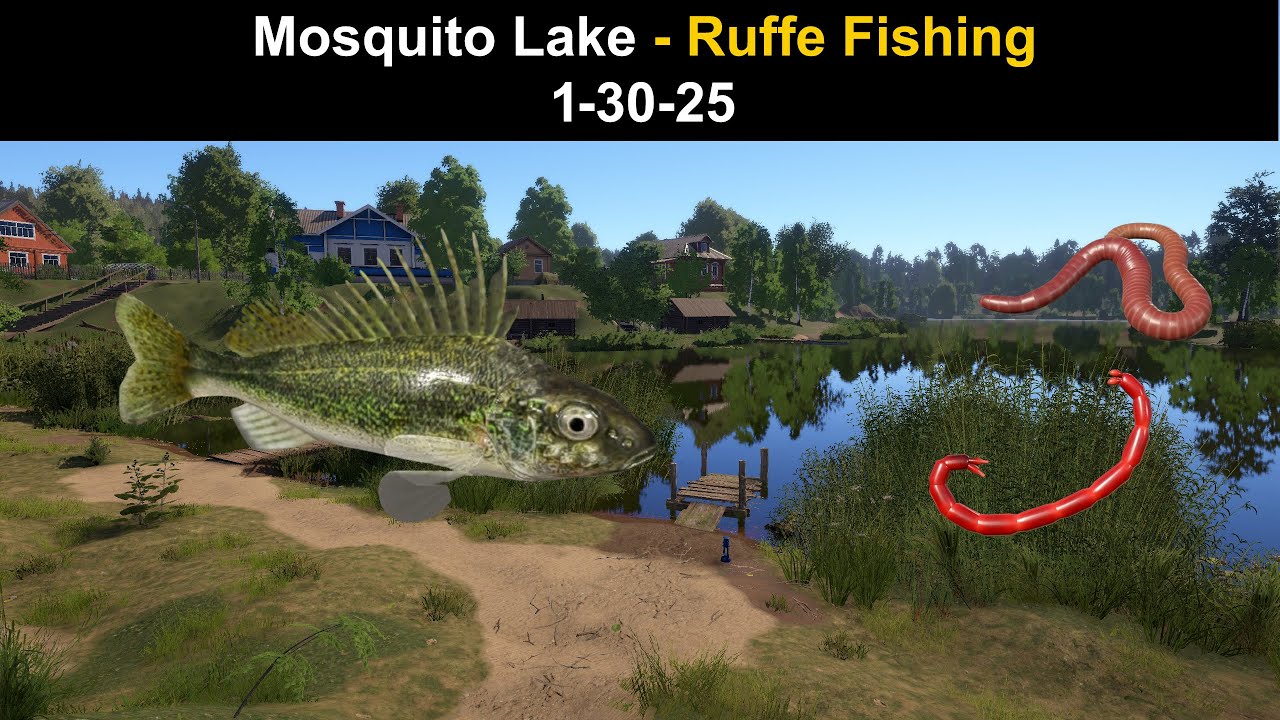 Russian Fishing 4, Mosquito Lake - Ruffe Fishing  1-30-25