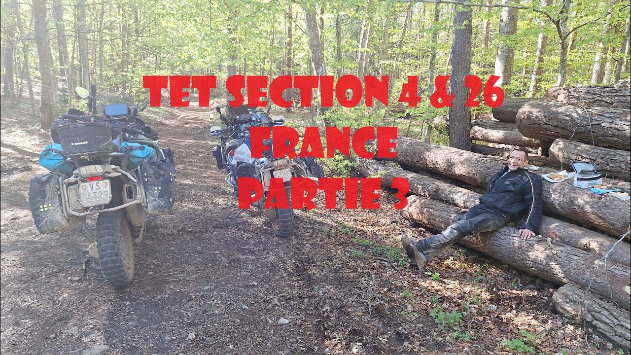 TET section 4 & 26 France Partie 3 ( La Forêt )