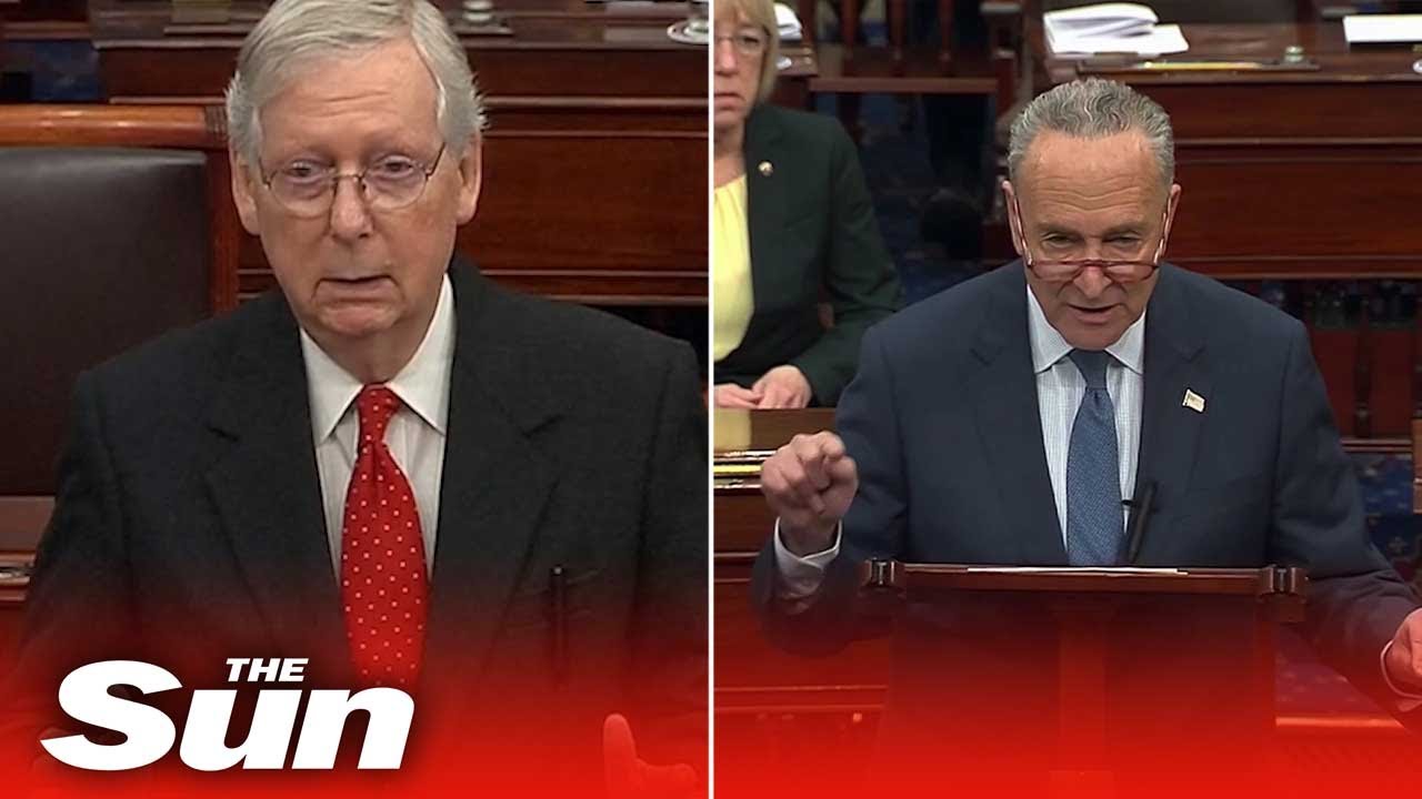 Donald Trump Impeachment - Senate trial opening statements