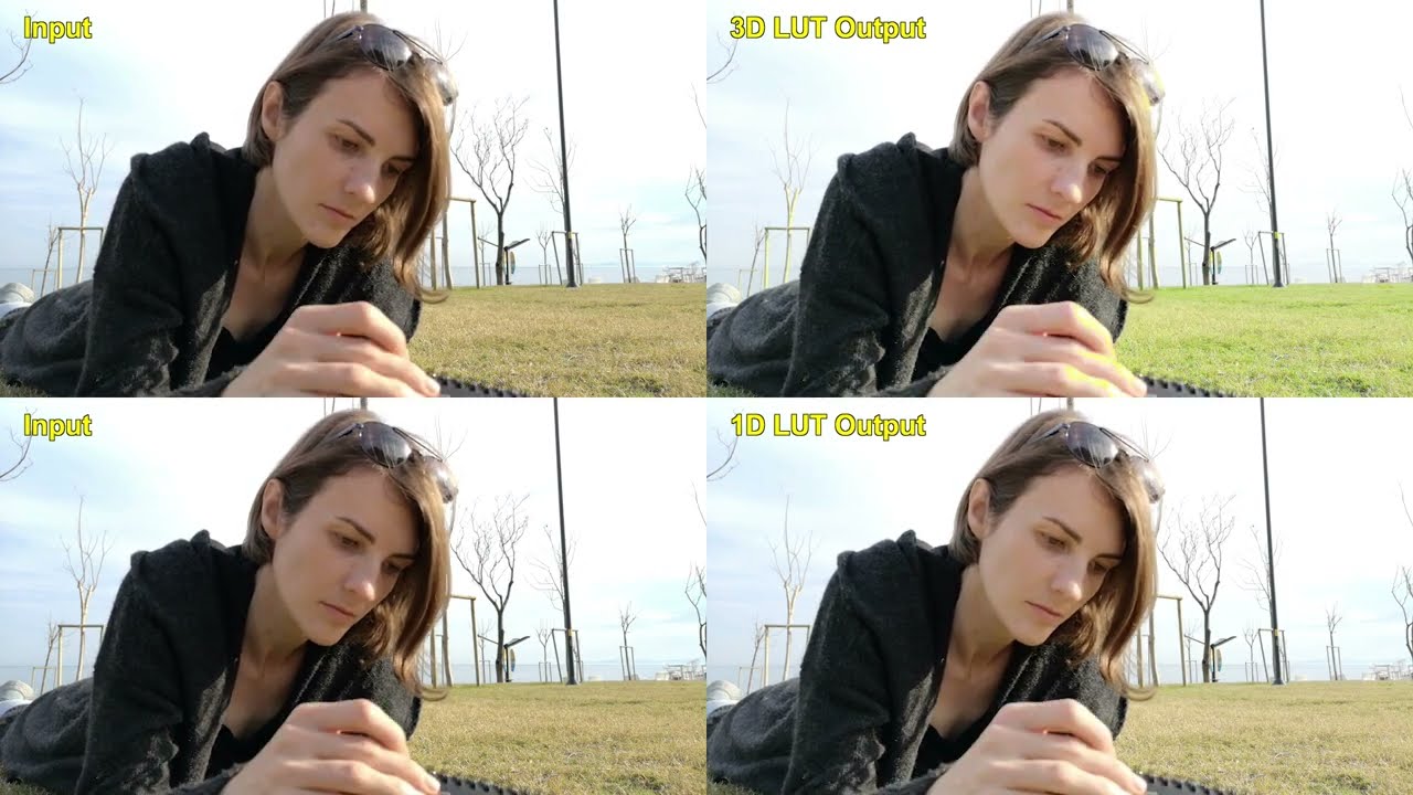3D LUT (MDIN-640/620)