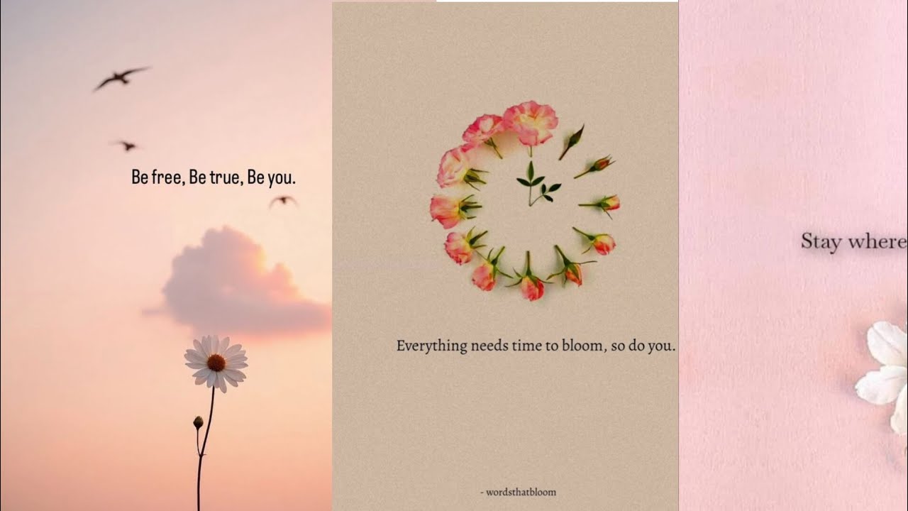 Positive quotes Gentle reminders for your soul . Bloom in your own time .Soft words for hard days