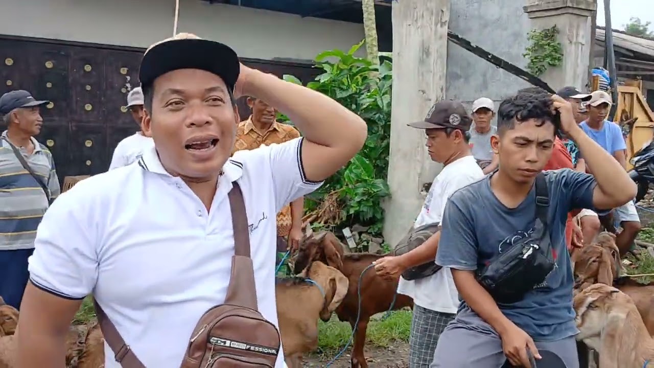 Pasar kliwon bendilwungu sumbergempol tulung agung(07 02 2026) sabtu kliwon#