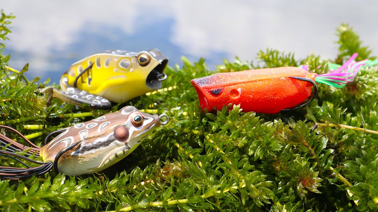 Fishing with Frogs DEEP In the Grass!! (Epic Blow Ups) | Jiggin' With Jordan