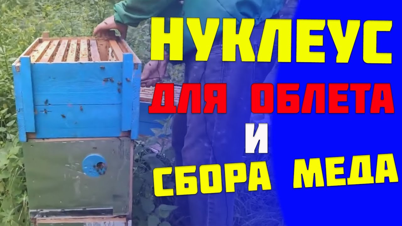 Говорим про нуклеусы. Универсальные нуклеусы на 8 рутовских рамок, для вывода маток и получения меда