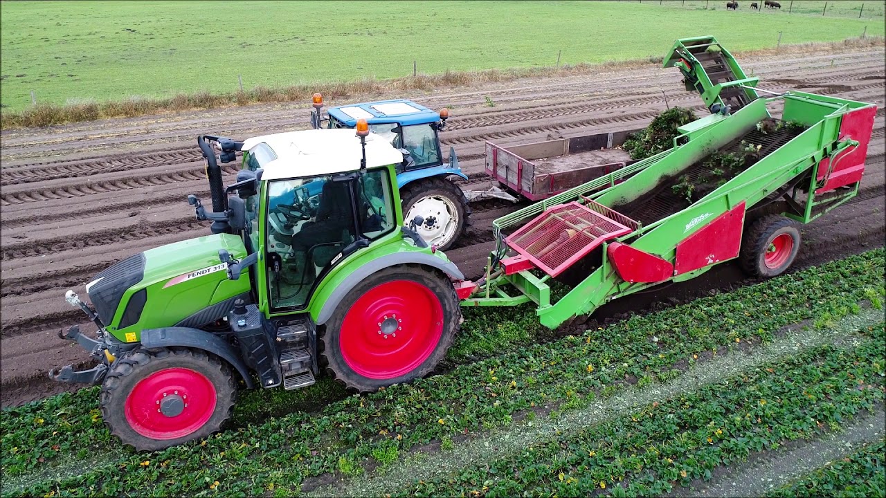 Aardbei planten rooien / Harvesting strawberry plants / Erdbeerpflanzen roden / Basrijs / Fendt