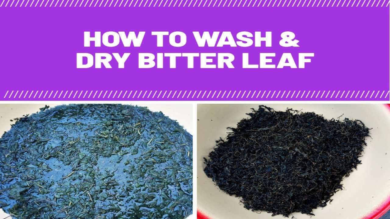 How To Wash Bitter leaf  And preserve Bitter leaf for Future Use (Easy Method)