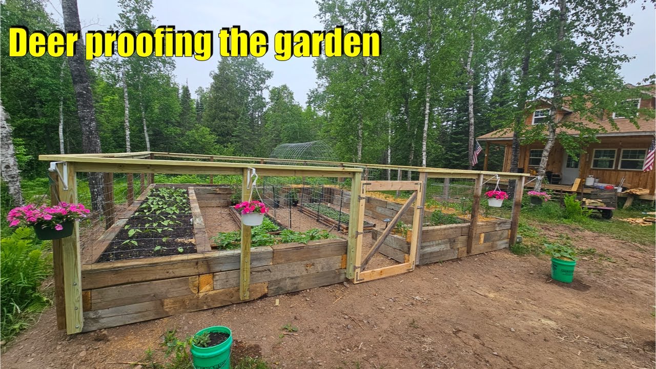 How to deer proof a raised bed garden