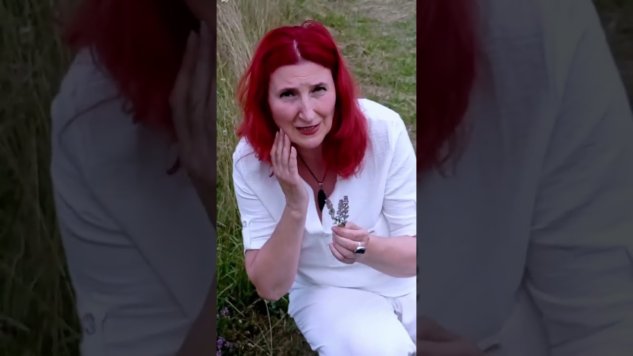 Macierzanka: 🌿 Magiczne Zioło Zdrowia i Harmonii ✨
