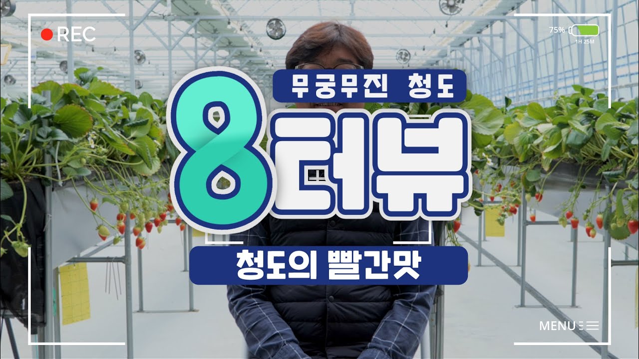 청도에서 딸기 농사로 재미 본 5년차 농부 [청도 8초 인터뷰]