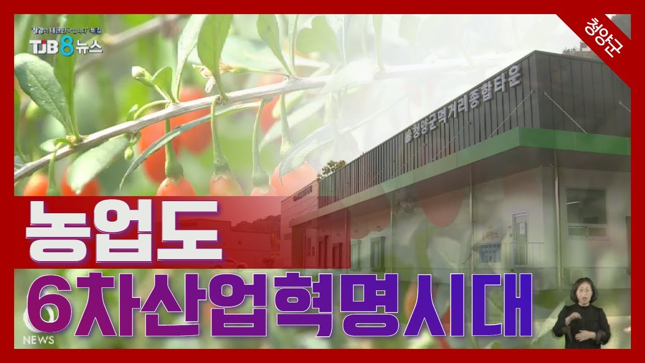 [TJB 대전&middot;충남&middot;세종뉴스]6차산업혁명 중심지로 떠오르는 '청양군'