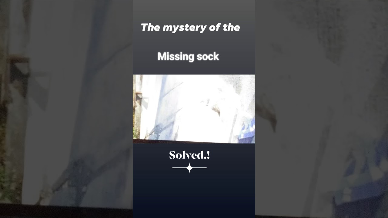 mystery of missing sock
