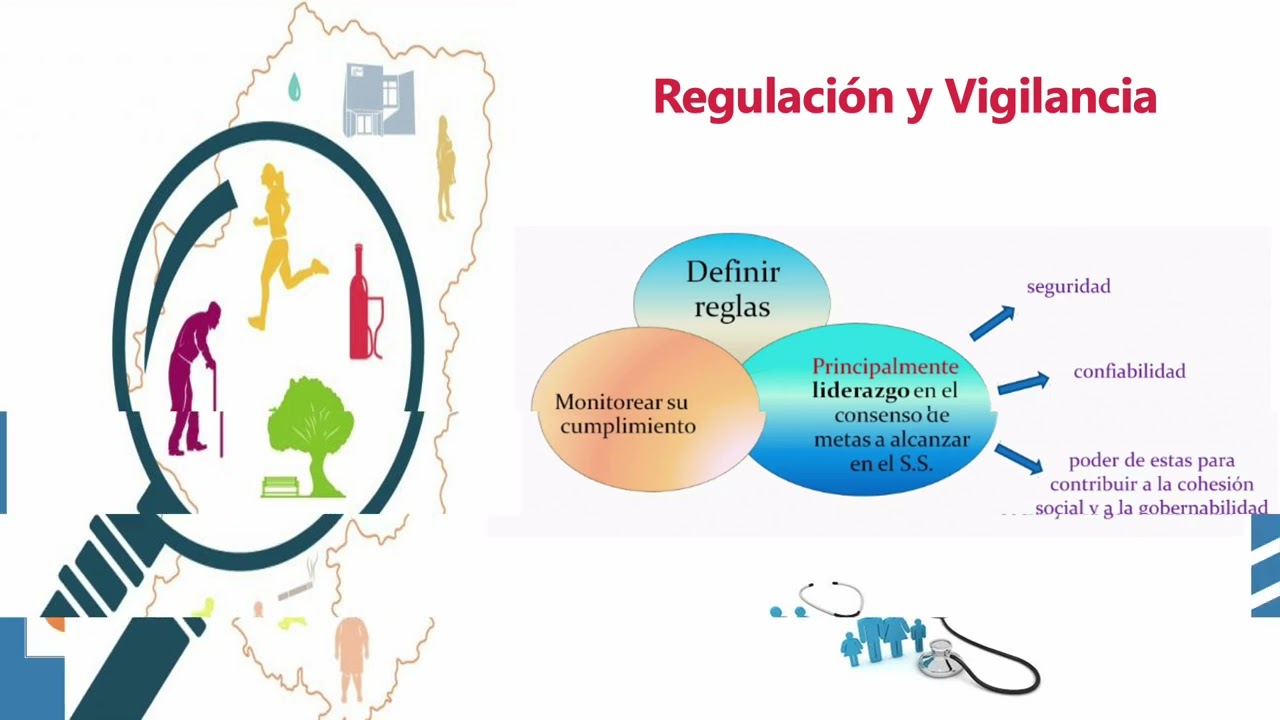 Funciones de Rector&iacute;a del Sector Salud