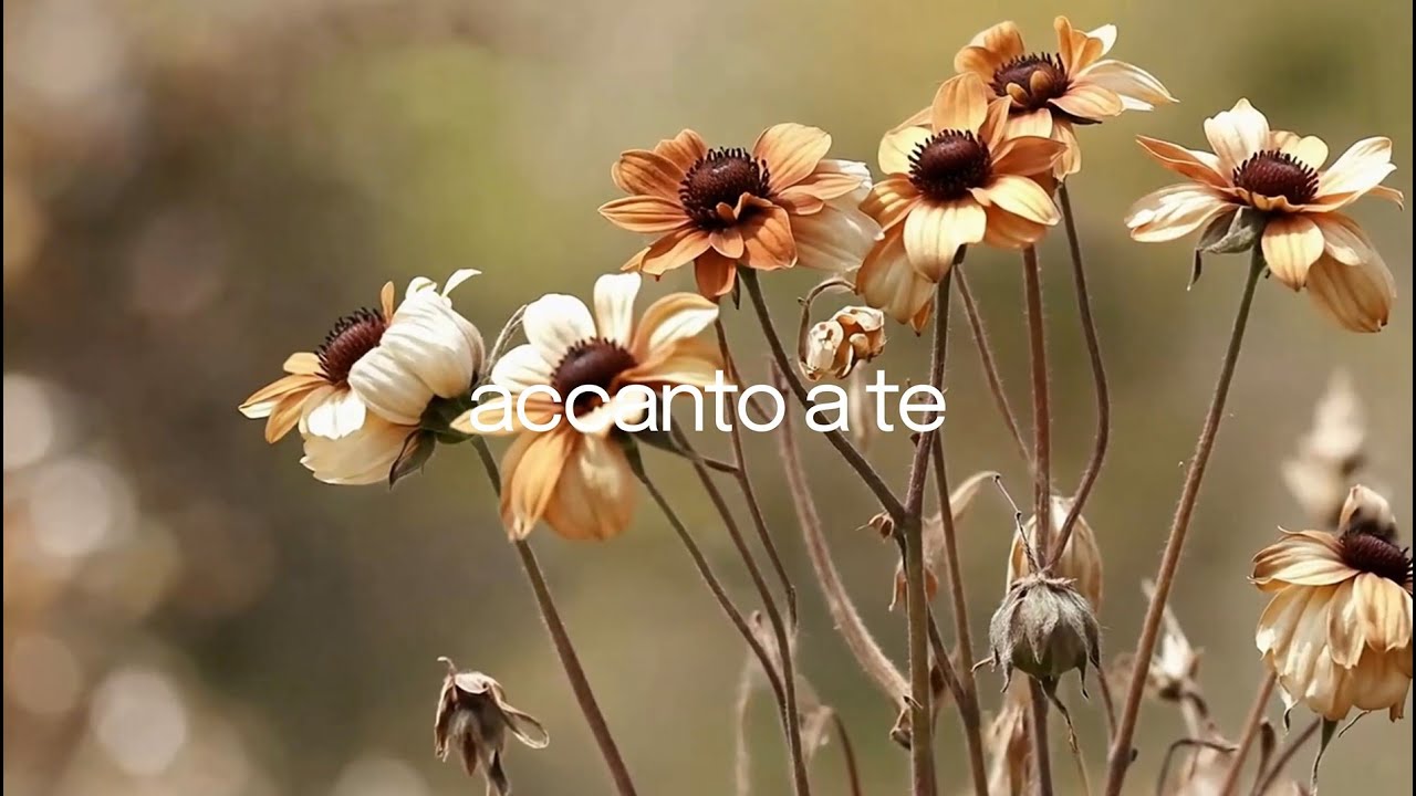 Accanto a te (string quartet) Lyrics Video