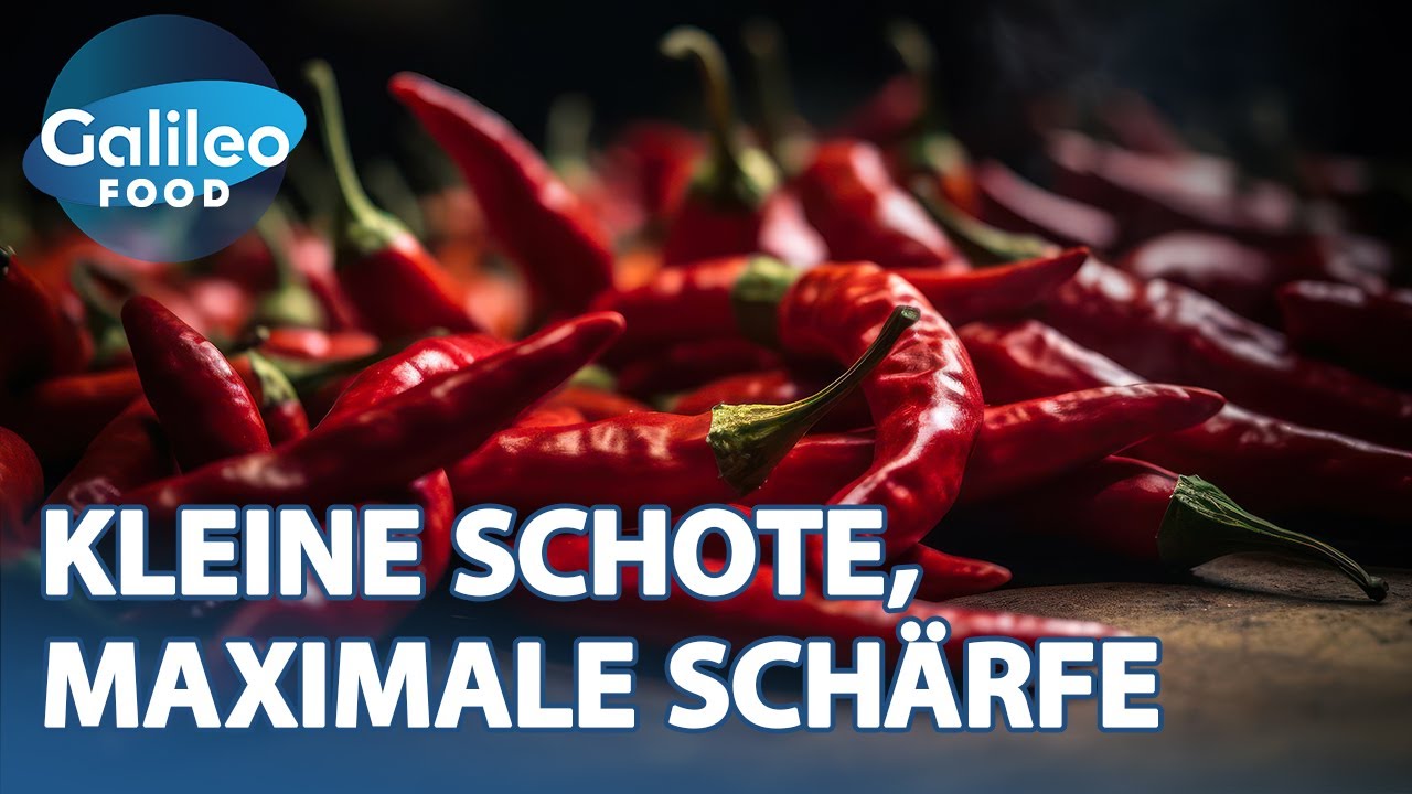 Kleine Schote, feurige Wirkung! Christoph im Chili-Fieber Indiens