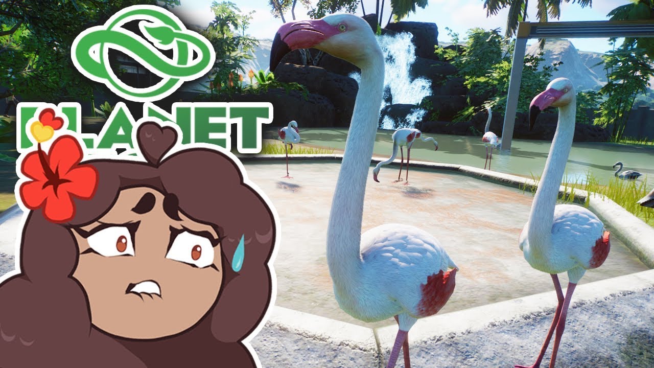 In Which I Lose My Mind Over Flamingos 🐼 Daily Planet Zoo! • Zoodesia! • Day 91