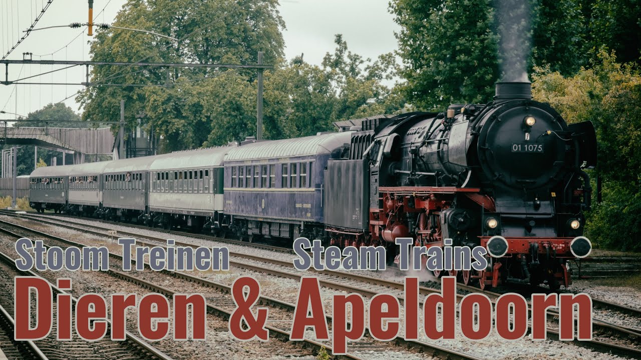 Terug naar Toen - Veluwsche Stoomtreinen - Dieren en Apeldoorn