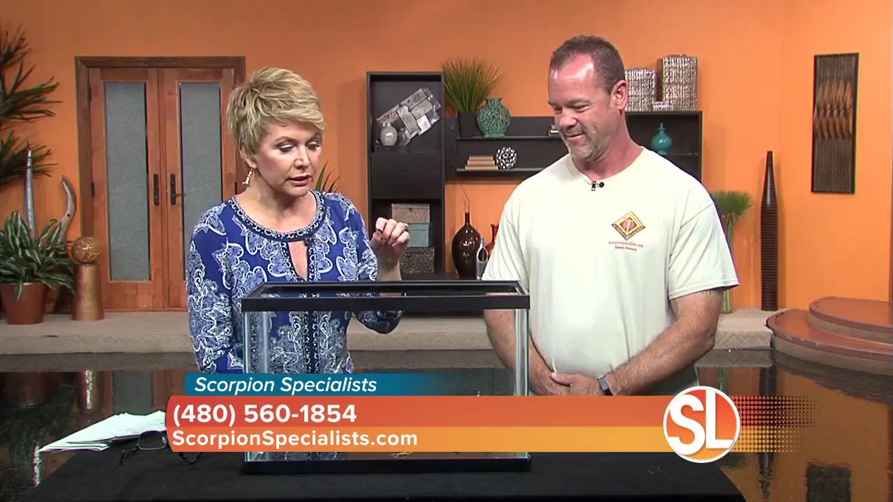 Scorpion Specialists stop scorpions from entering your home