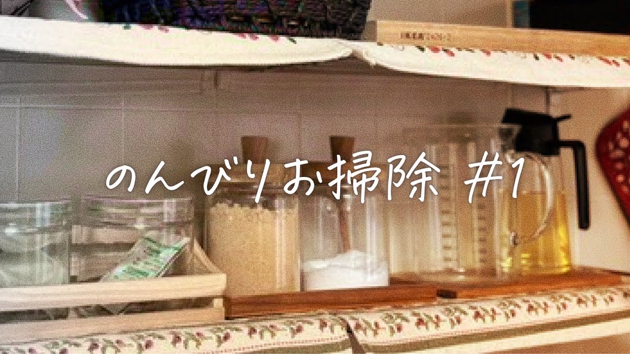 【汚部屋】お掃除vlog/網棚/まったり掃除