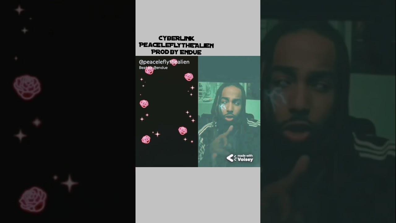 Cyberlink - PeaceLeFlyTheAlien