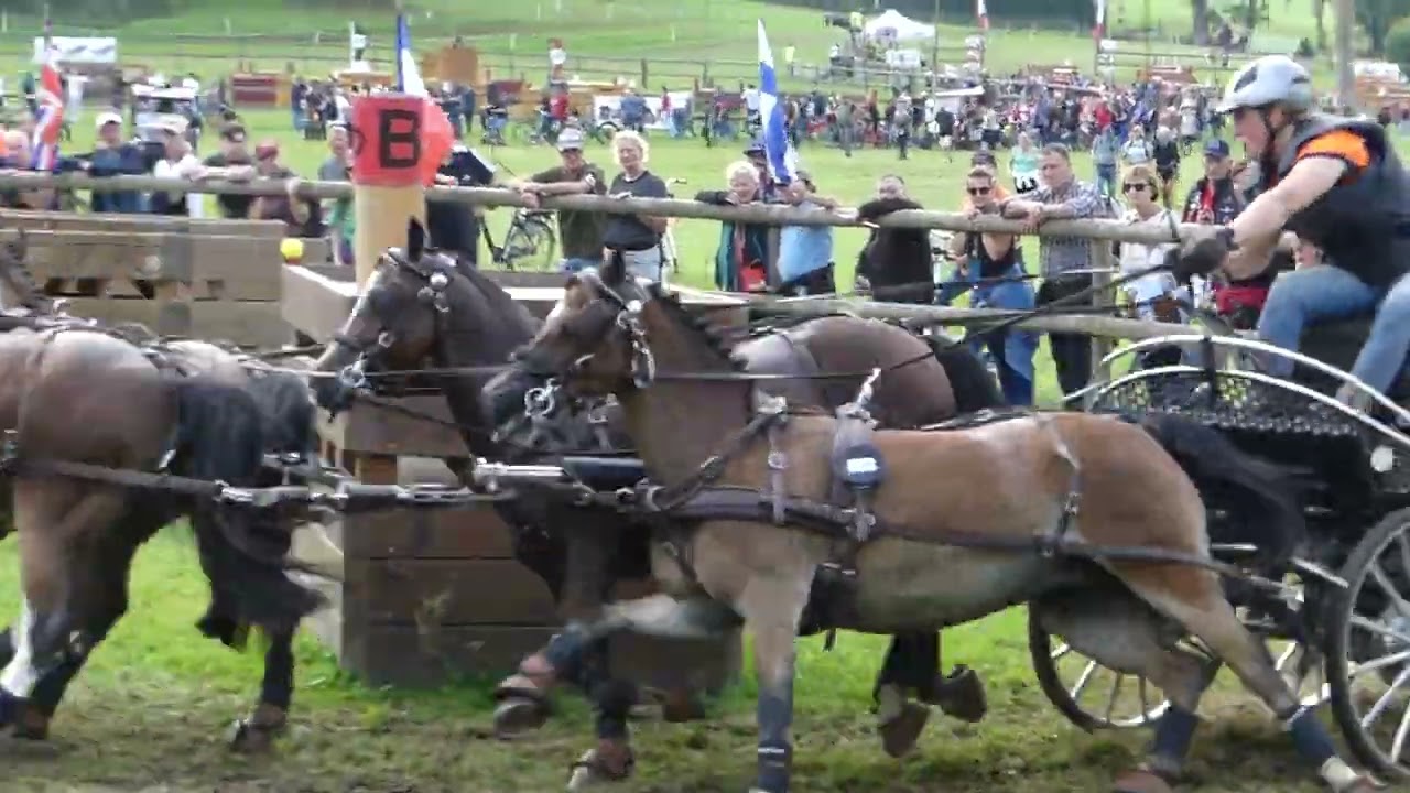 124 HAMMINK Mareijke, NED, CH M P A4,A2,A1, Le Pin au Haras FRA, Marathon Pony Four in Hand, Ob 8, 2