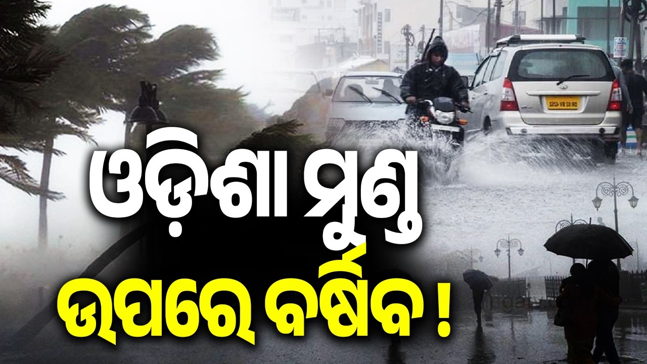 IMD Issues Yellow Alert for Four Districts in Odisha for Next 24 Hours || Kalinga TV 