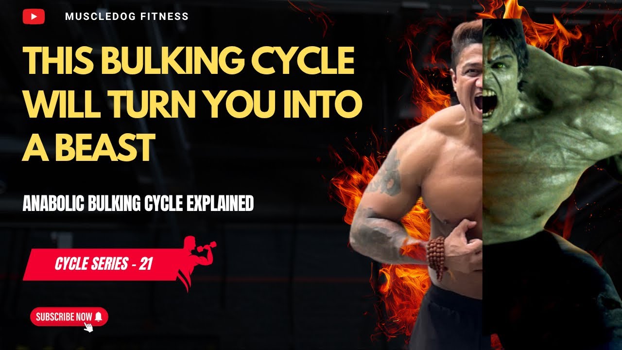 Anabolic Cycle for INSANE Bulking | Max Muscle Mass Guide | Muscledog Fitness