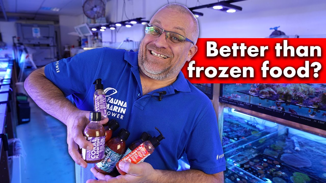 Is this better than frozen food? - Saltwater aquarium feeding *Fauna Marin*