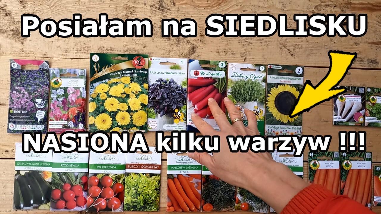Jakie nasiona posiałam na SIEDLISKU ??? Zbieram pierwszą pokrzywę !!! Podlewam truskawki (#120)