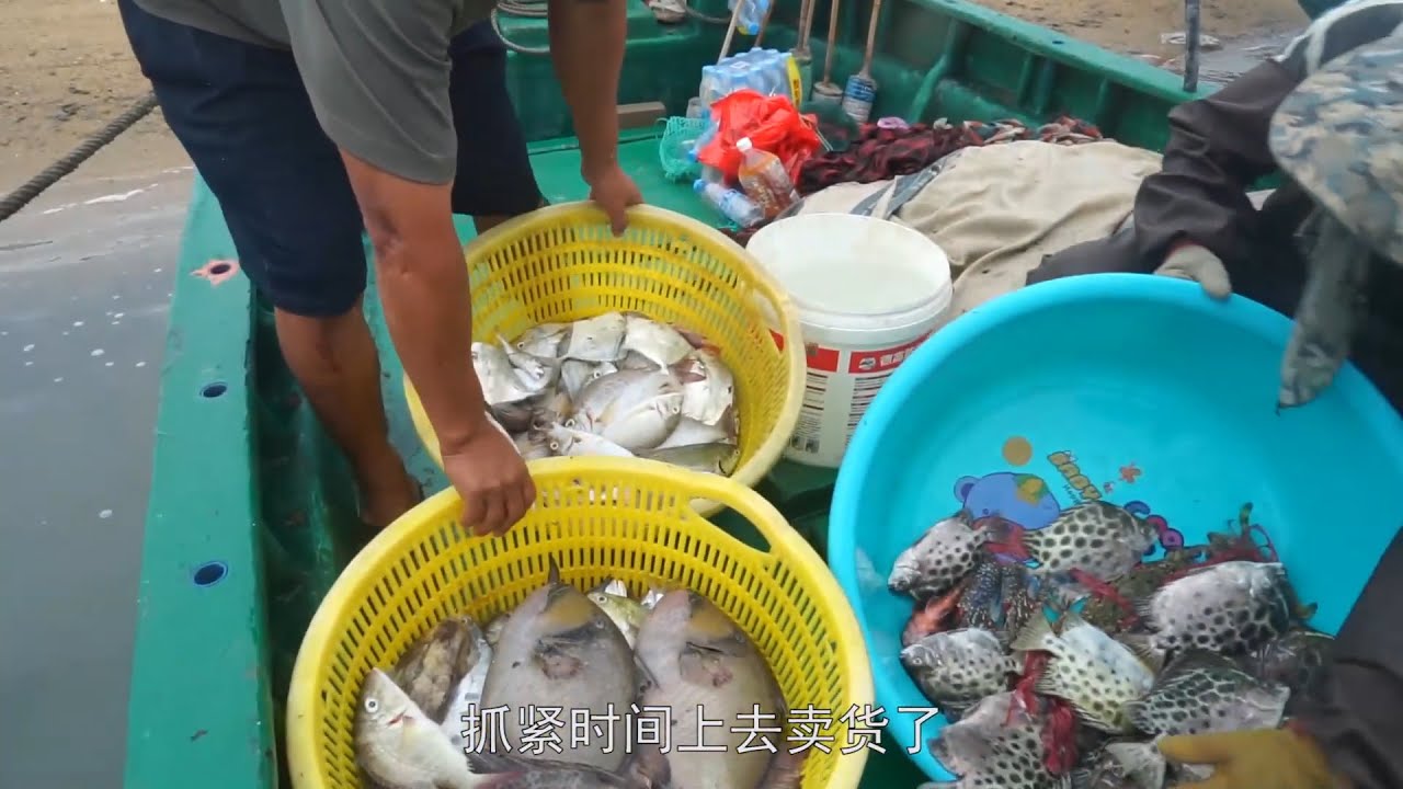 老四在恶劣天气出海，收获是平常的几倍，这种冒险太值了