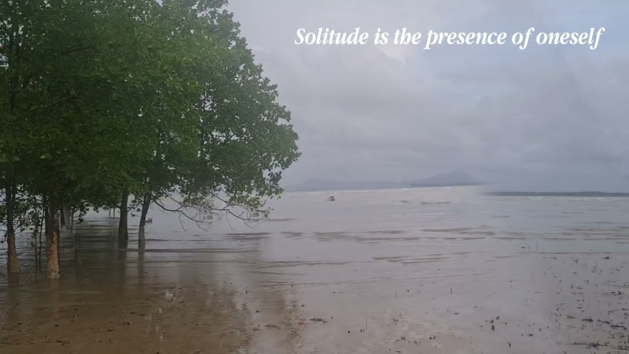 Relaxing Ocean Sounds & Meditative Music | Finding Peace Among the Mangroves in Sarawak, Borneo