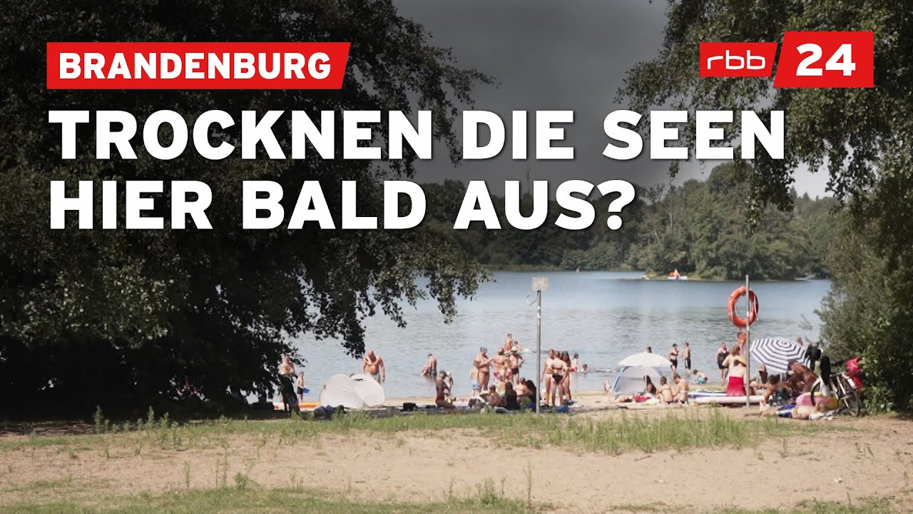 Pegel sinken: Wie können Brandenburgs Seen vor dem Austrocknen bewahrt werden?