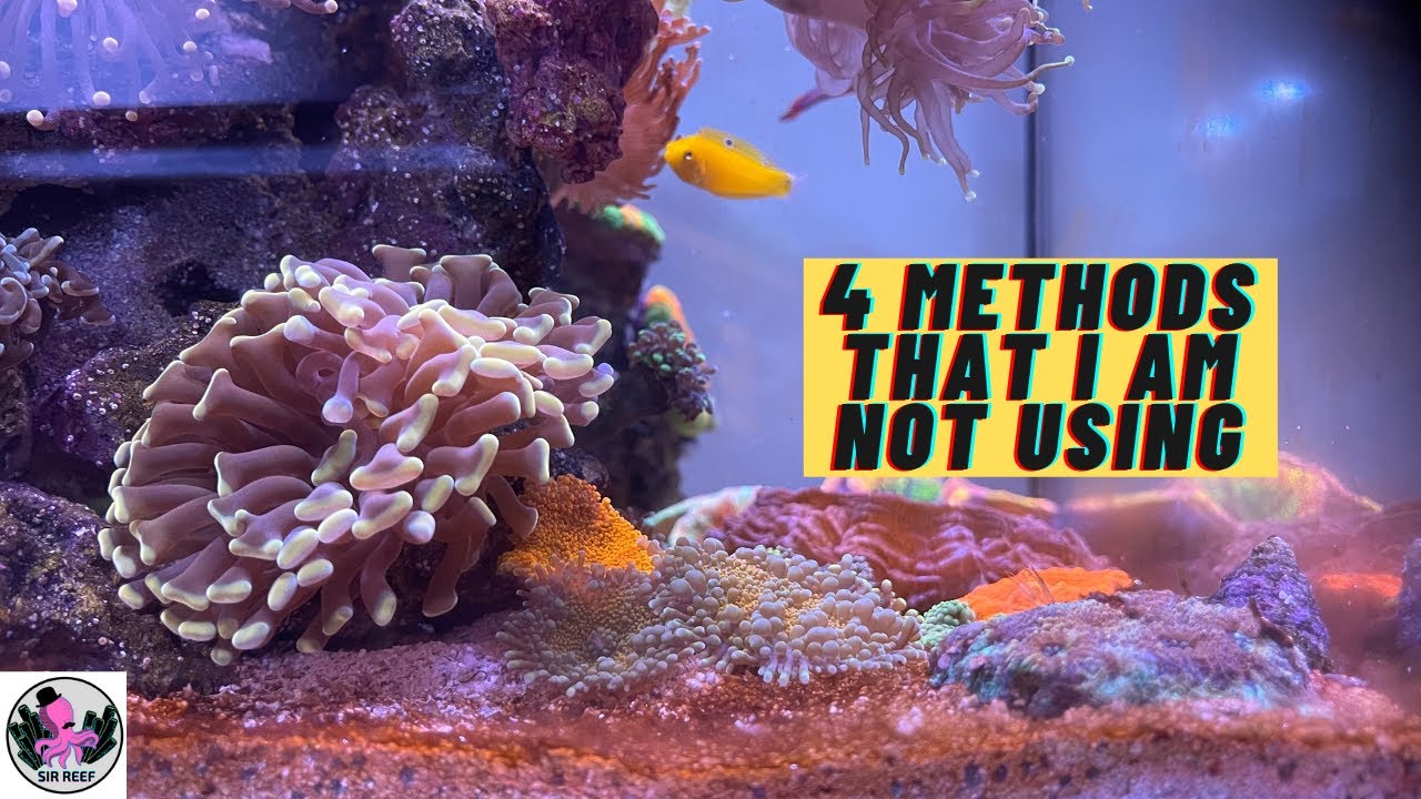 4 Methods I Am NOT Using That Could Help You With Dinos