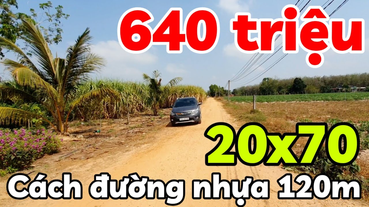 Bán đất 20x70 có 100m2 thổ cư giá 640 triệu xây nhà vườn rộng đẹp ở xã Ninh Điền Tây Ninh