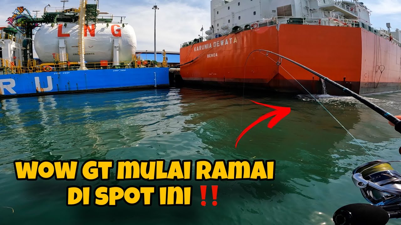 ‼️GT RAME BANGET‼️ IKAN GT LAGI MAKAN DI SPOT KAPAL MERAH BENOA BALI | MANCING DI BALI