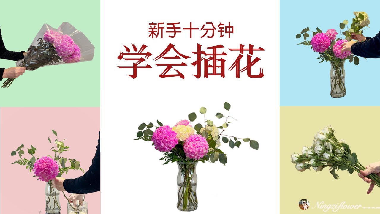 居家插花入门｜高脚玻璃花器投入式插花教学｜中老年初学者也能轻松学会