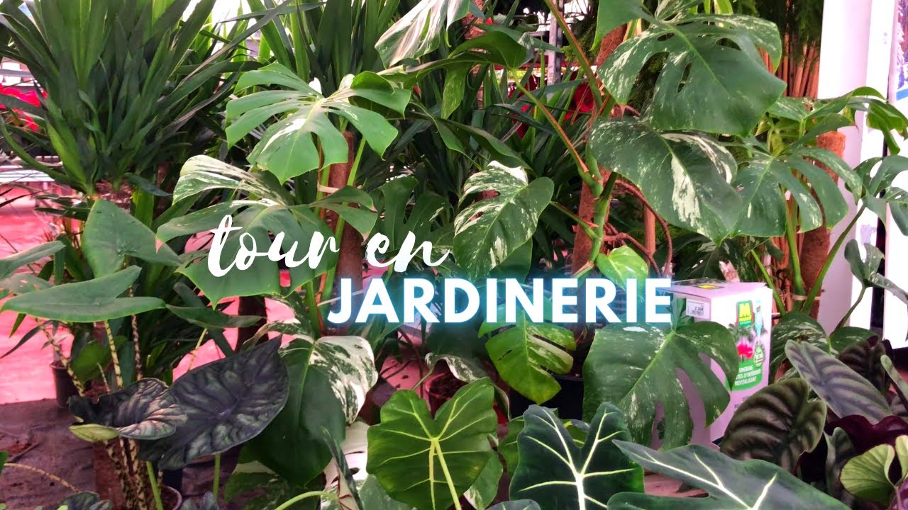 D&eacute;cor Jardin de Champenoux et Magasin Vert de Neufch&acirc;teau