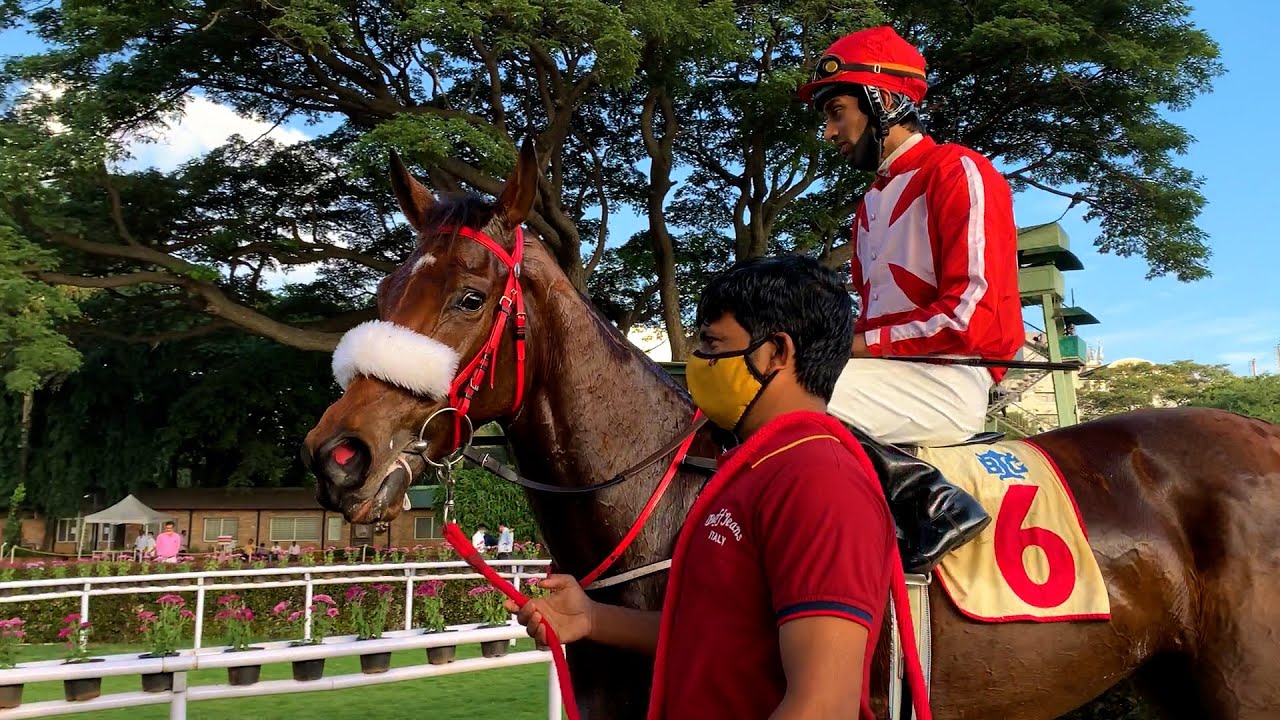 Bangalore 1000 Guineas 2020 Winner - Forest Flame