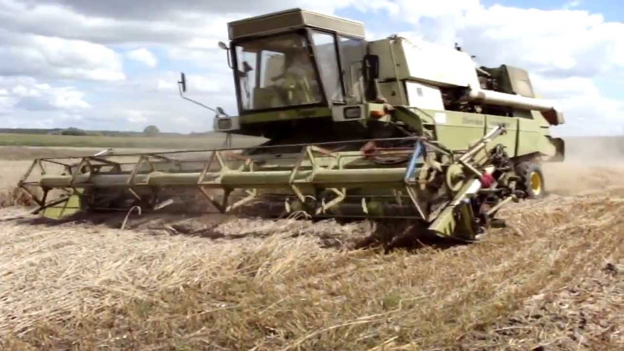 Żniwa 2013 - Fortschritt E517, Ursus , Case