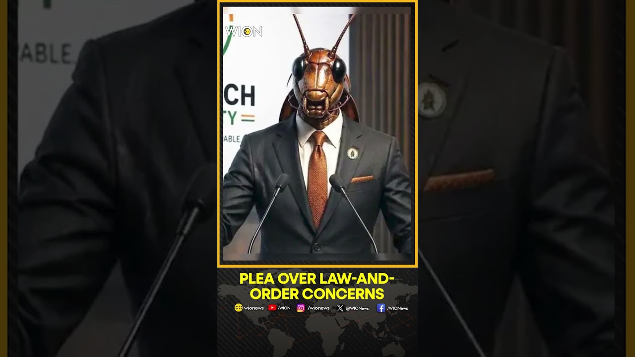 Delhi HC Refuses Urgent Hearing on Plea Against Cockroach Janta Party Protest | WION Shorts