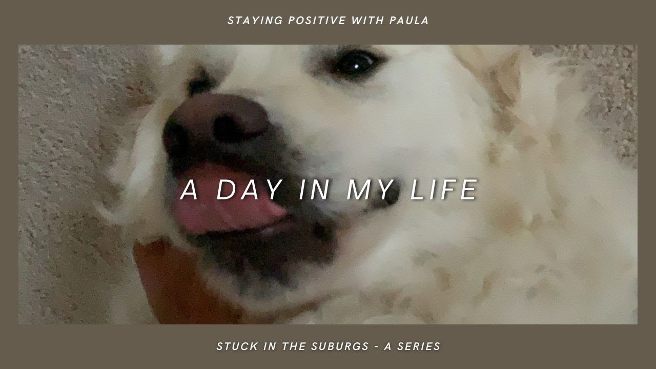 STUCK IN THE SUBURBS VLOG: catching up with old friends, going to the movies alone, eating good food
